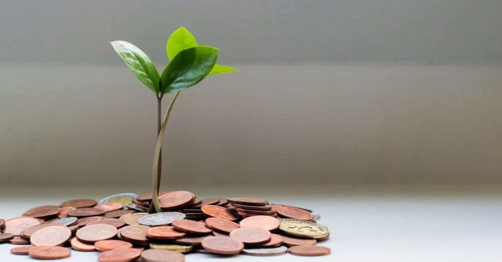 Plante émergeant de pièces de monnaies